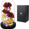 Enchanted Galaxy Rose in Glass Dome – Romantic Valentine’s Gift